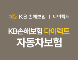 KB 손해보험 다이렉트 자동차보험 로고